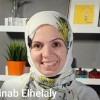 Mrs. Zeinab Mamdouh Elhelaly
